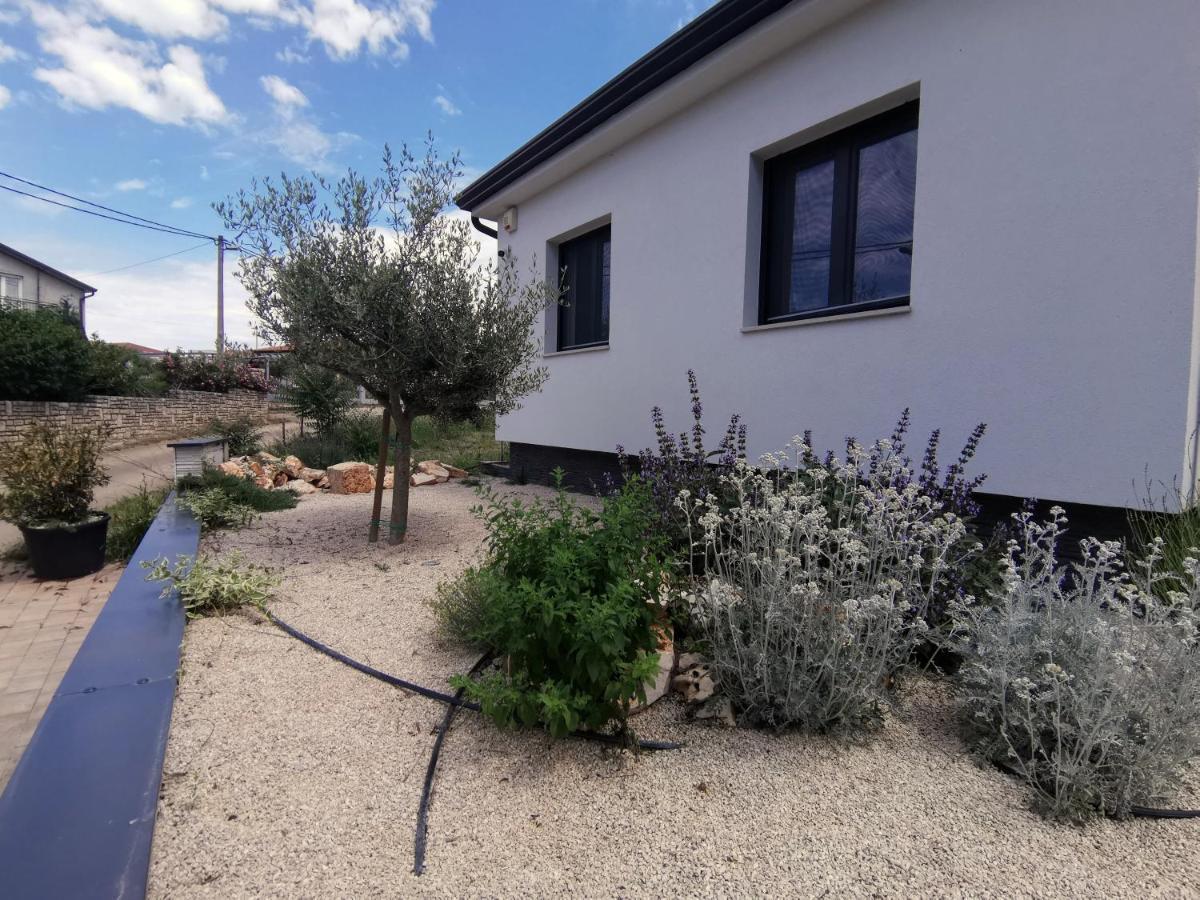 Villa Oliva Umag Exterior foto